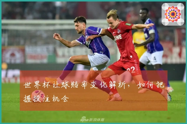 世界杯让球赔率变化解析，如何把握投注机会