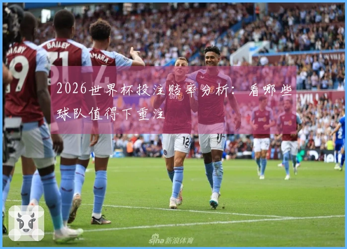 2026世界杯投注赔率分析：看哪些球队值得下重注