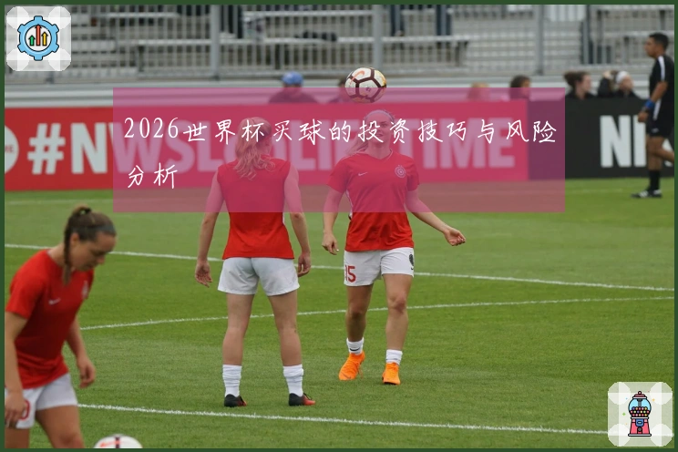 2026世界杯买球的投资技巧与风险分析
