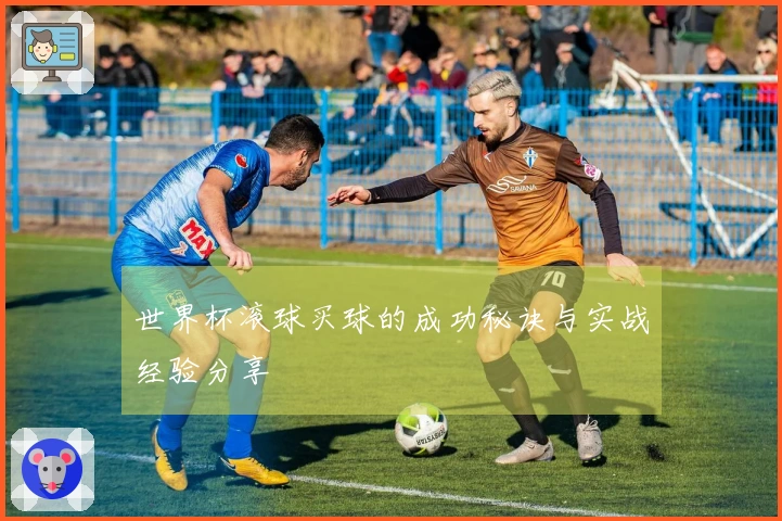 世界杯滚球买球的成功秘诀与实战经验分享