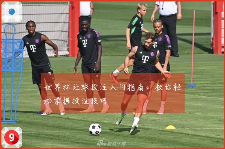 世界杯让球投注入门指南，教你轻松掌握投注技巧