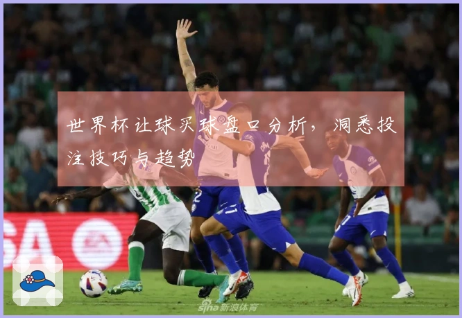 世界杯让球买球盘口分析，洞悉投注技巧与趋势