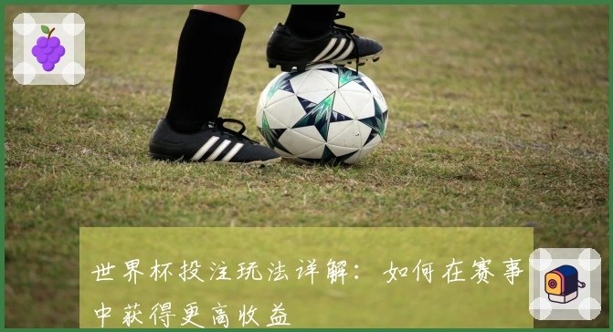世界杯投注玩法详解：如何在赛事中获得更高收益