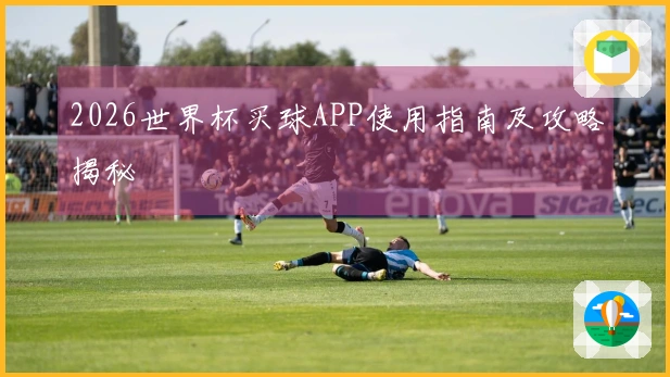2026世界杯买球APP使用指南及攻略揭秘