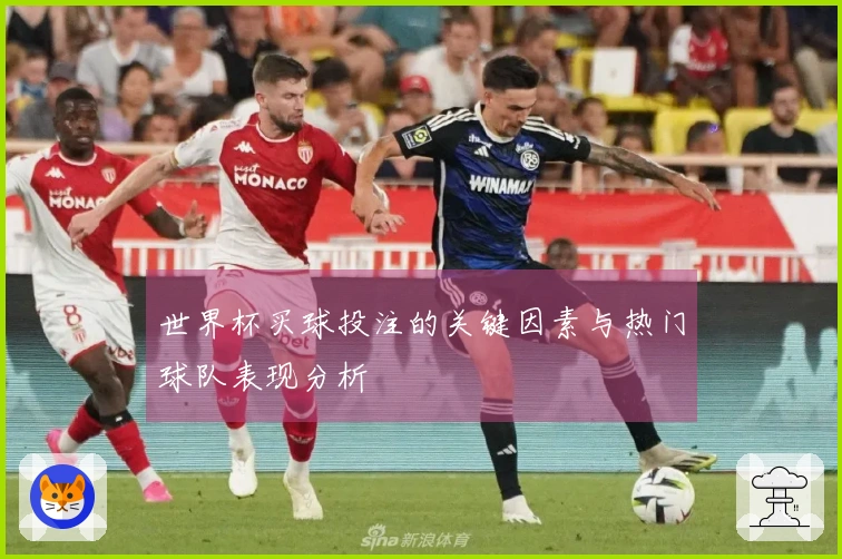 世界杯买球投注的关键因素与热门球队表现分析