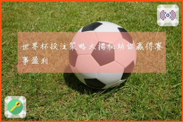 世界杯投注策略大揭秘助你赢得赛事盈利