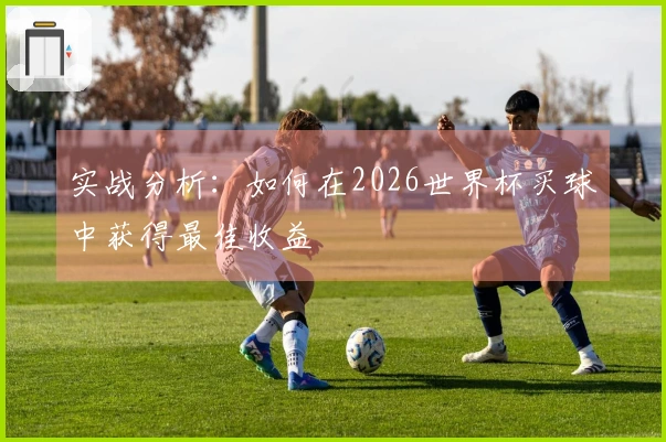 实战分析：如何在2026世界杯买球中获得最佳收益