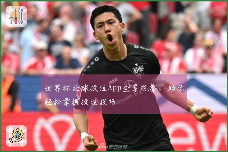 世界杯让球投注App全景观察，助你轻松掌握投注技巧