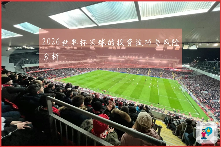2026世界杯买球的投资技巧与风险分析