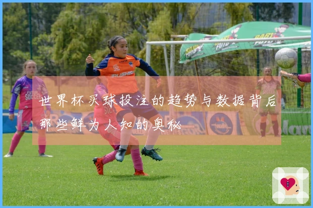 世界杯买球投注的趋势与数据背后那些鲜为人知的奥秘